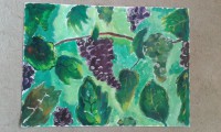 /album/kresby-malby/a10730826-999334003417510-882799200975738926-n-jpg/