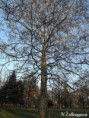 /album/slnko/dscf0357-jpg/