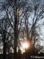 /album/slnko/dscf0338-jpg/