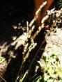 /album/les/dscf0967-jpg/