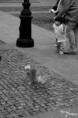 /album/mesto-ii-/img-2237-jpg/