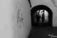 /album/mesto-ii-/img-2262-jpg/