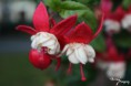 /album/prirodny-detail/img-1034-jpg/