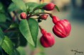 /album/prirodny-detail/img-1037-jpg/