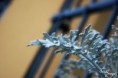 /album/prirodny-detail/img-1076-jpg/