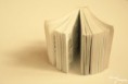 /album/biela-na-bielej/img-8462-jpg/